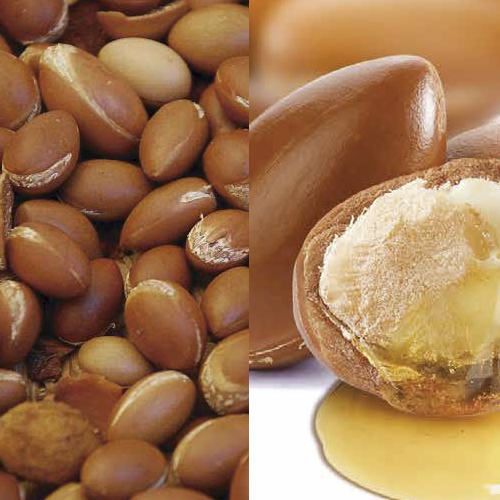 Fruto de argan puro